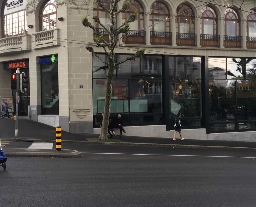 Magasin Façade Poteau Traverse Acier Jansen Thermolqué + Verre Sécurisé Construction Métallique Adani